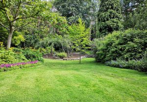 Optimiser l'expérience du jardin à Guignecourt